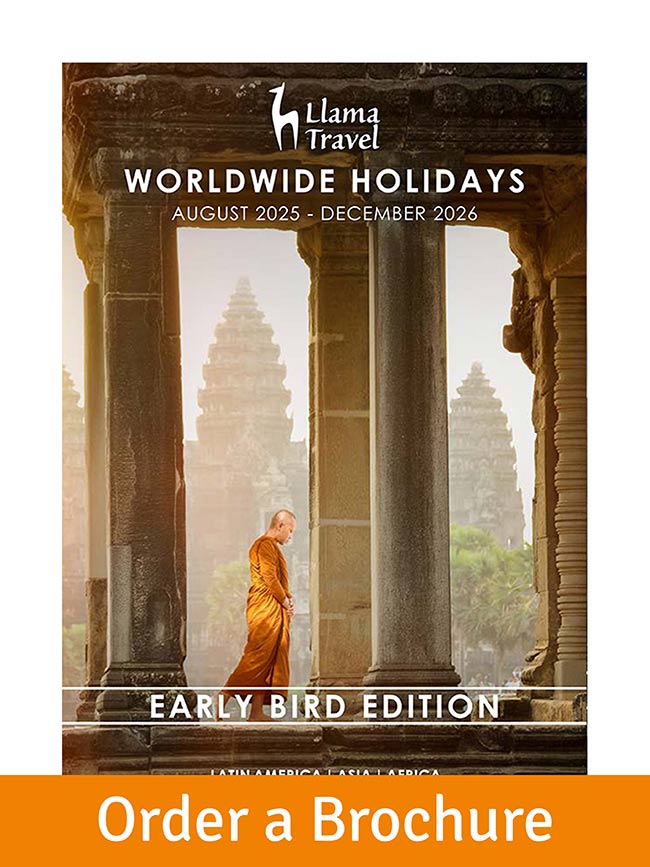 Worldwide brochure order button